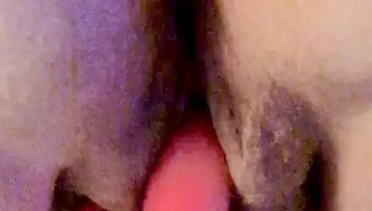 amatör karısı oynar ile KEDİ