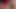 Ateşli orta yaşlı seksi üvey anne göt tıkacıyla anal ve amında tavşan dildoyla mastürbasyon yapıyor - çifte penetrasyona bayılıyor
