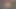 Minyon tatlı pepper xo hayranları için sert sikişmeden önce sert yarağını ellerine ve ağzına alıyor