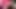 Ateşli lezbiyenler penny pax ve alison tyler ıslak amlarını ovuşturuyor!