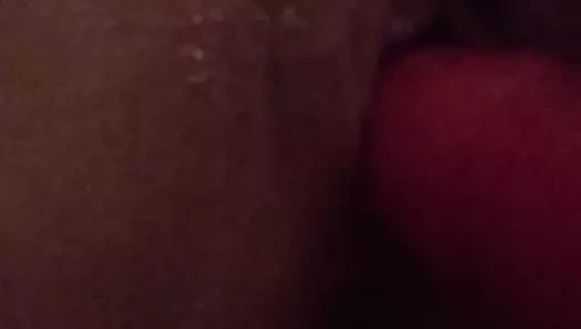 Mükemmel kedi ve yapay penis