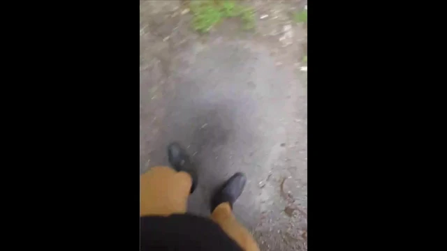 Açık hava maceraları