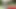 Emekli porno yıldızı açık havada anal sikilmek için geri geldi