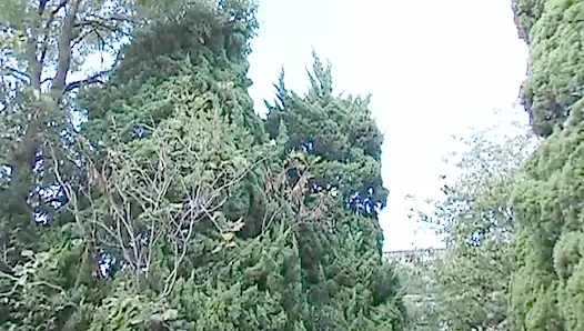 sigara içme ofis sürtük alır onu KEDİ pummeled