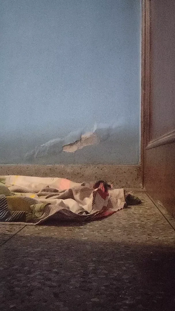 sebzeler ve top ile eşek ağzı açık