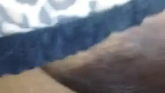 Kiribathgoda karınca