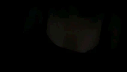 Filipin dinası. m yanıp sönen küçük göğüsler