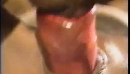 2 black guys fuck 2 white girls in orgy