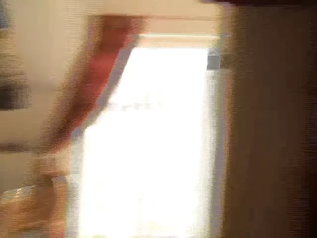 Sweetanne - Der Dildovertreter