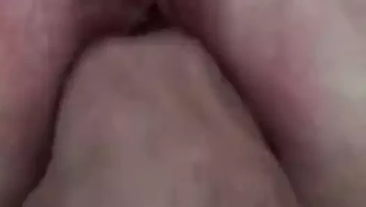 Bir cumy oyuncak yumruklu kedi