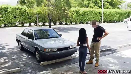 İstiridye için 8 istiridye - xxx piyon