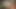 SHAME4K. Adam onu ayaklarımı yalarken gördü ve çılgın bir ereksiyon oldu
