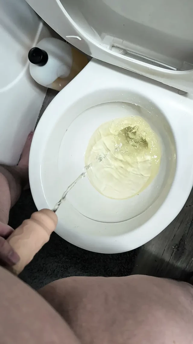 Ayakta işeme yavaşlatılmış