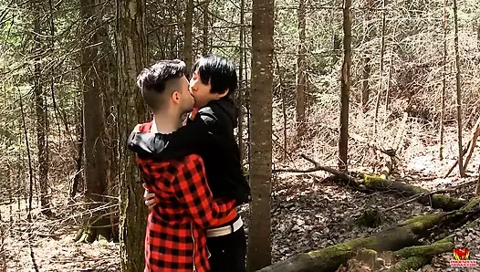 Daniel kabindeki odun her santimini alıyor