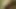 GOLDENPUSSY 2