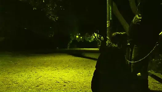 Kocam beni parkta tasmalı bir şekilde yürüyüşe çıkardı. Sonra sikini emmemi istedi.