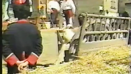 Les porte-jarretelles de la revolution (1989)