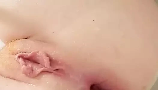 anal fiş