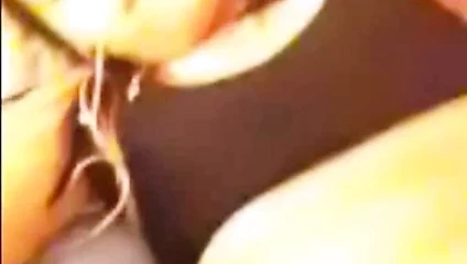 Çılgın Tay 'penguen 2