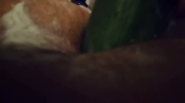 Анальное уничтожение сисси