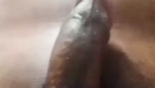 Fijili baba (ieremia) sert horoz göster