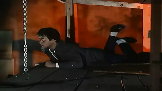 Nina Hartley ve Buck Adams (4k lüks)