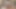 İnce Endonezyalı kız, selebgram model skandalı