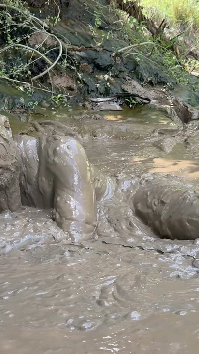 MUD JACKOFF | Klip 1