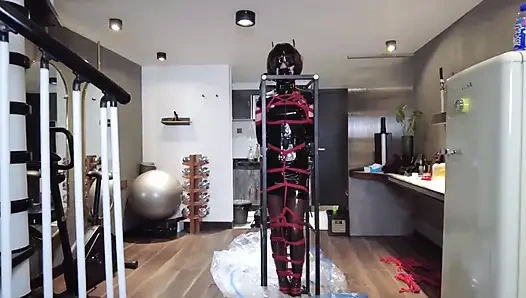 Mz32 - metal bir cihaz içinde bağlı, titreşen bir doruk noktası.