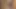 Sarışın Brittany Andrews ve kızıl saçlı Daisy Harper, Pablo'nun yarağını paylaşıyor!
