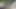 Veronica leal alır dilf çük içinde göt üzerinde güneşli sabah