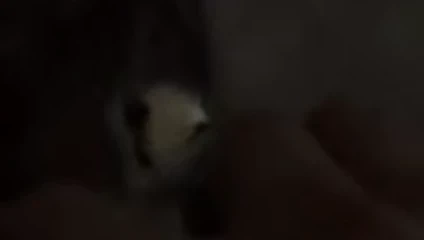 zeynep&amp;adnan türk çifti 11.09.2017