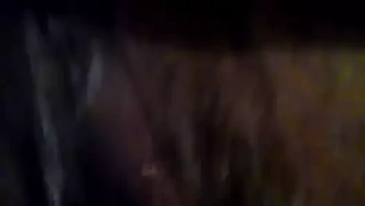 Latin ıslak kedi meyve suyu