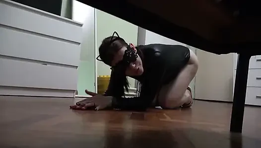 Kedi kadın bakış açısında fareyle oynuyor