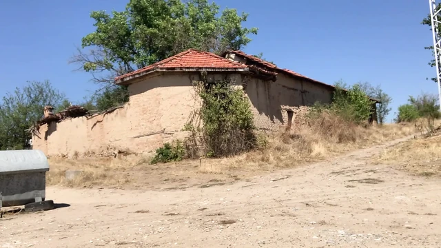 Обнаженная на природе 2025 года