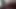 American Rose of Battle Film 1