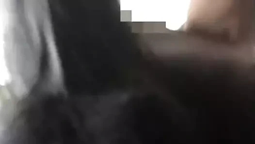 bbc sulu abanoz ganimet yok eder