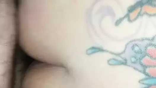 amatör eş köpek stili