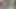 Tavşan kız anal seks yapıyor