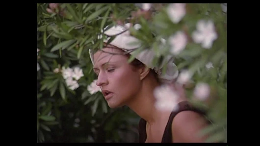 Robin Hood - bölüm 5