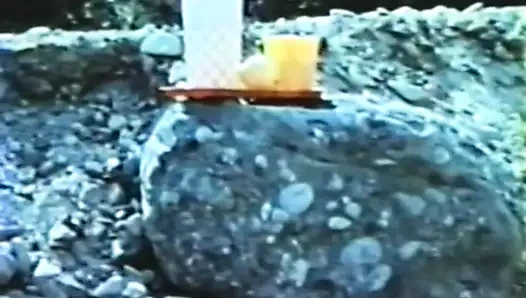 Beher'in seçimi 337