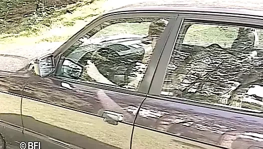 Hollandalı kızlar - açık havada seks macerası