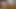 Blender'dan aynı anda 1 litre sidik iç