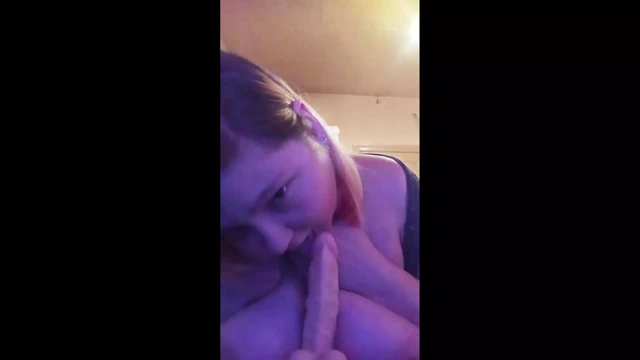 İyi evcil hayvan efendisine apoligeze ediyor