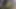 Kız masum görünüyordu ama spermimi yuttu