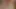 File vücut çoraplı ve tel örgülü büyük siyah dildo