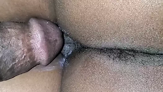 çok iyi jamikalı KEDİ