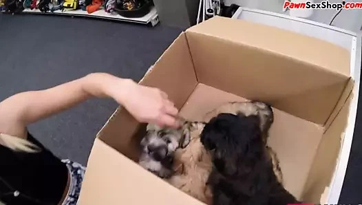 Örgülü Pawg rehinci dükkanı sahibi tarafından dövülerek alır