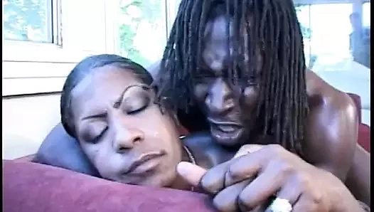 Alarge eşek ile siyah bebek şişman bir siyah horoz darbeler ve onu kedi dövülerek alır