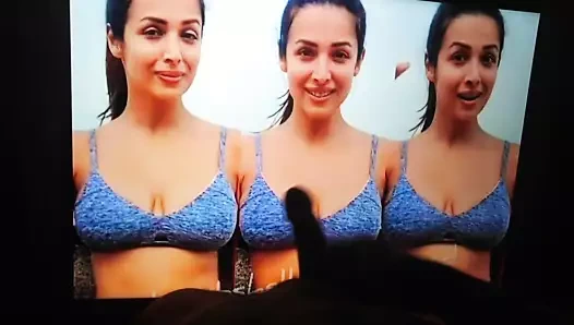 Malaika arora khan döl haraç sert sikiliyor ve dölleniyor